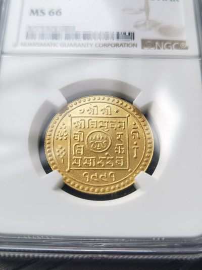 我的2021年终总结