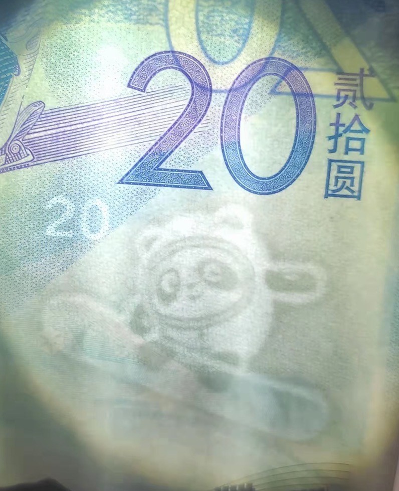 发现一只墩墩