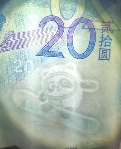 发现一只墩墩