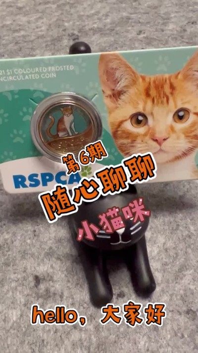 【随心聊聊第6期】小猫咪能有什么坏心眼呢？