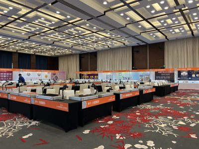 今天开展了，欢迎大家来B12领礼品
