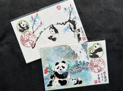 【极限片】日本熊猫极限片～