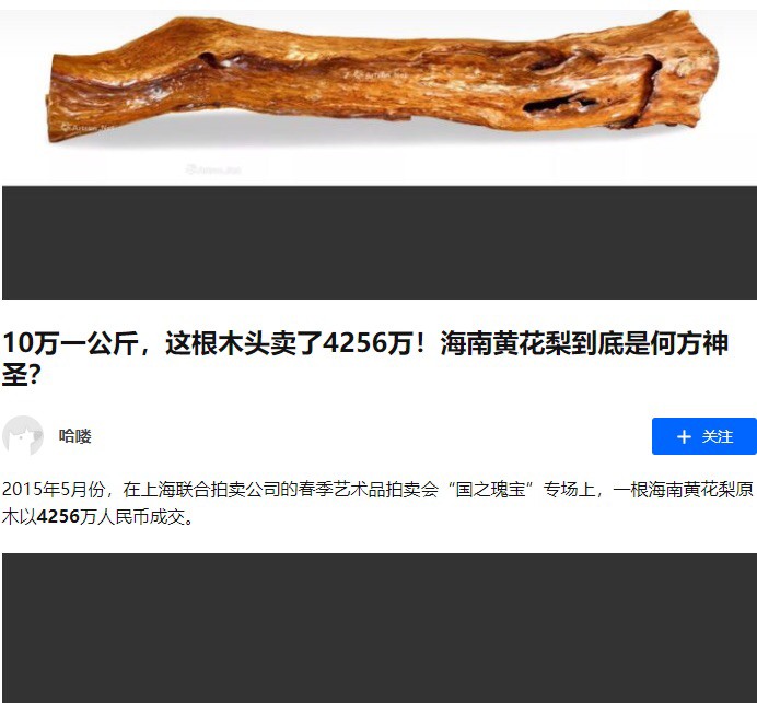 认养一棵黄花梨（降香黄檀木）