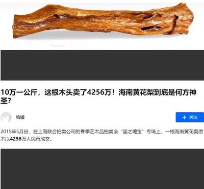 认养一棵黄花梨（降香黄檀木）