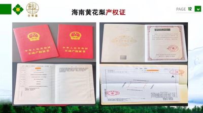 认养一棵黄花梨（降香黄檀木）