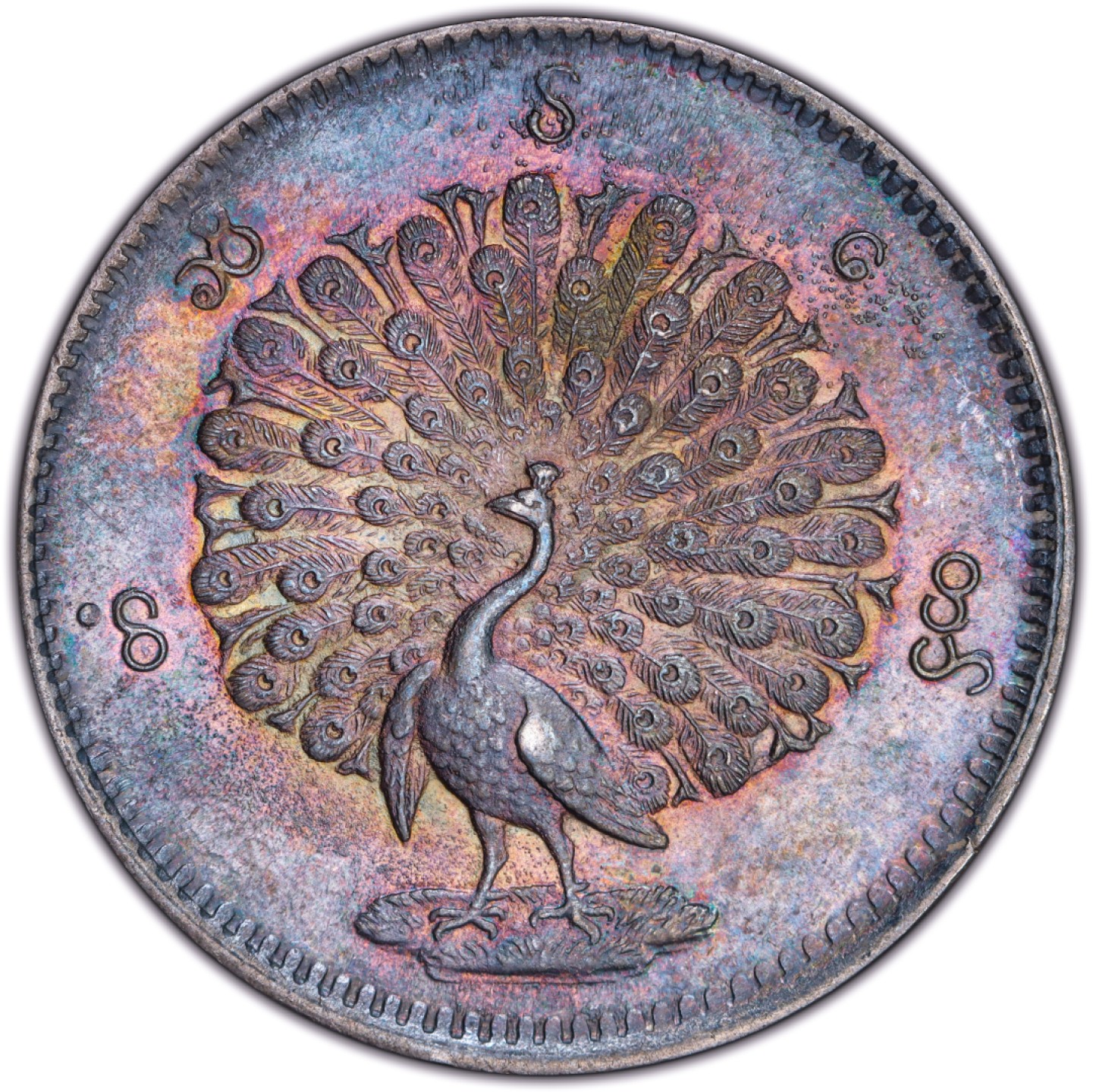 缅甸五彩孔雀银币欣赏