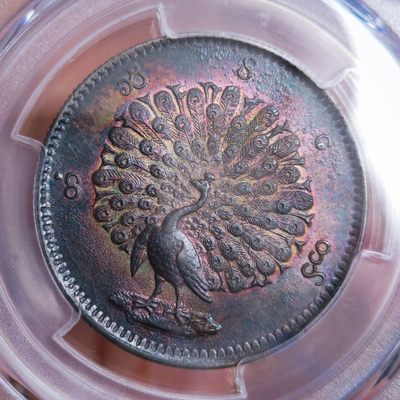 缅甸五彩孔雀银币欣赏