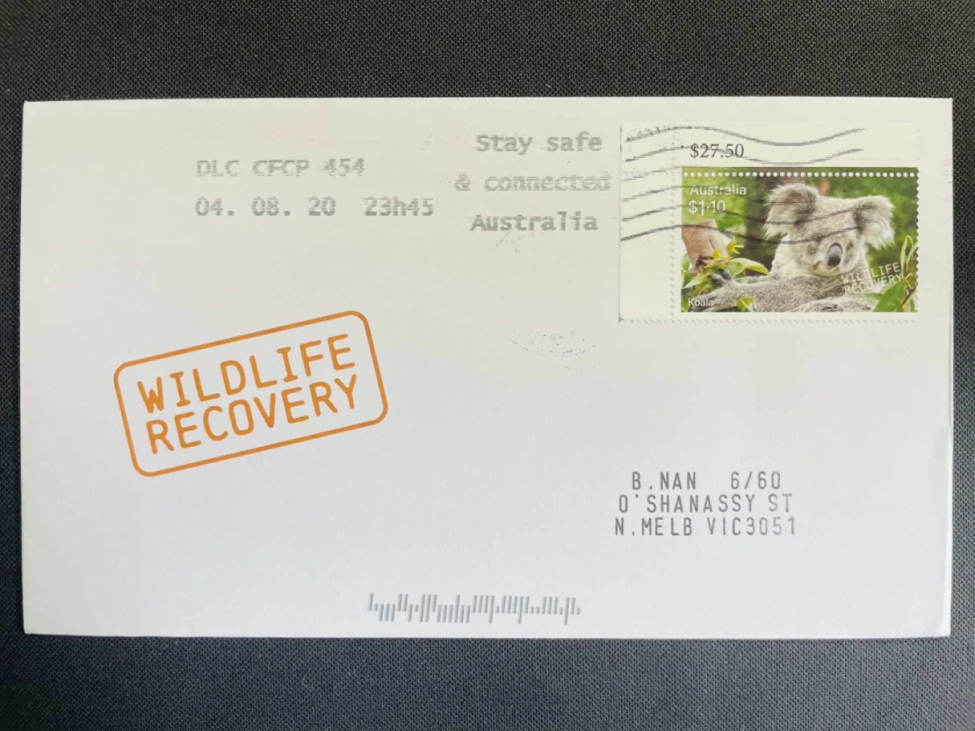 我也晒晒我的收获