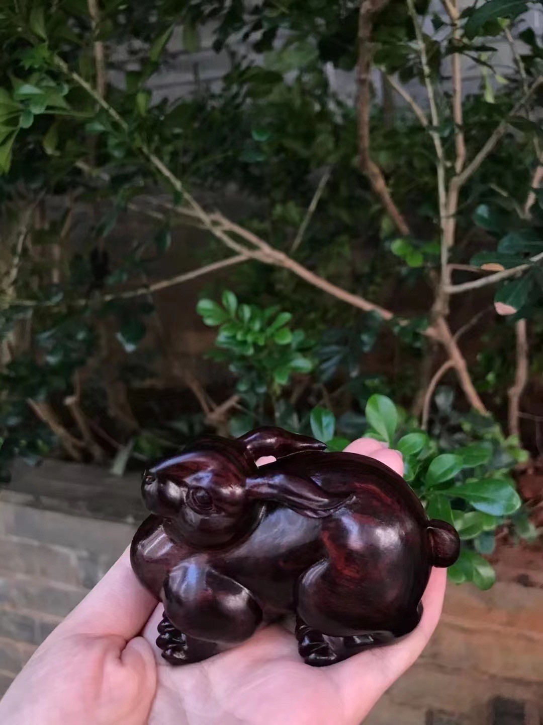 精品海黄精品兔子，属兔的朋友来吧，帝王紫成色，高货