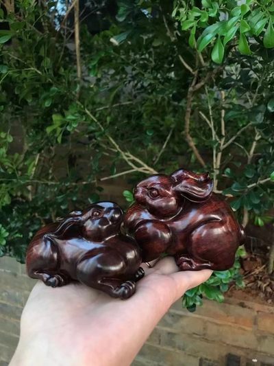 精品海黄精品兔子，属兔的朋友来吧，帝王紫成色，高货