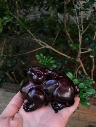 精品海黄精品兔子，属兔的朋友来吧，帝王紫成色，高货