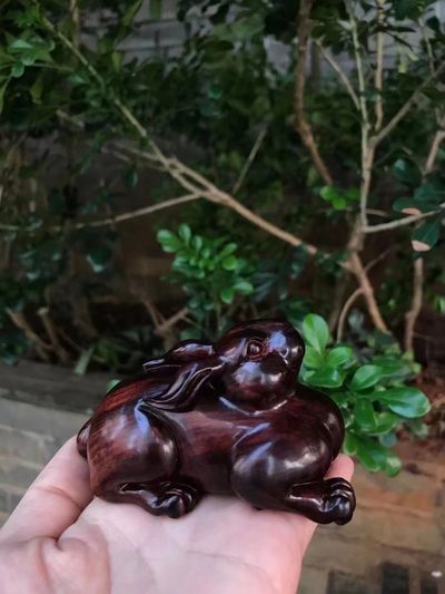 精品海黄精品兔子，属兔的朋友来吧，帝王紫成色，高货