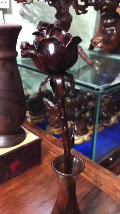 海黄帝王紫《永不凋谢》玫瑰，