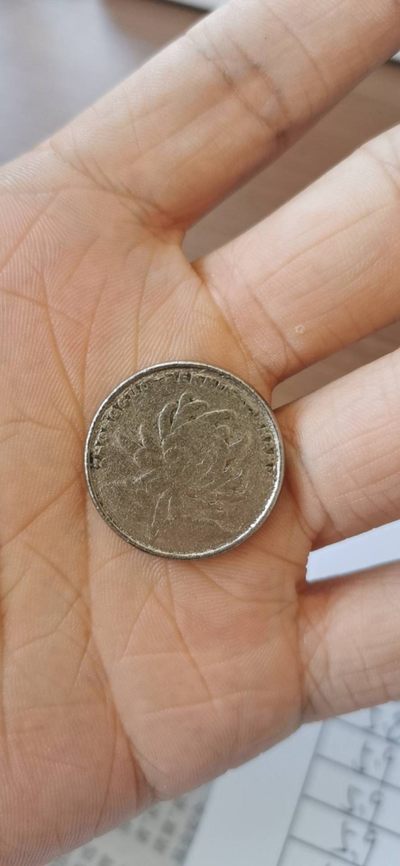 🍉瑕疵小币一枚