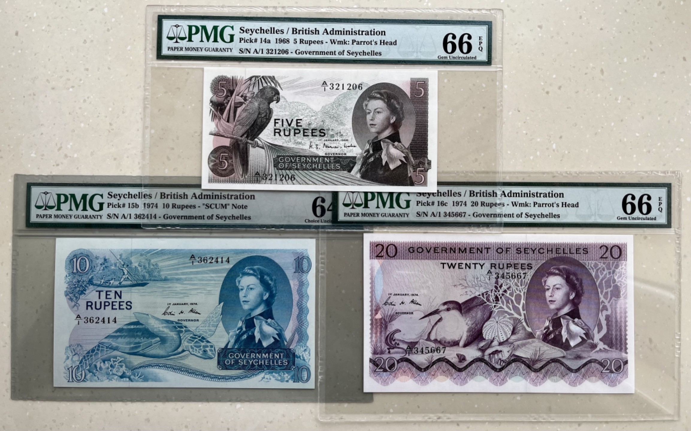 女王纸币之塞舌尔