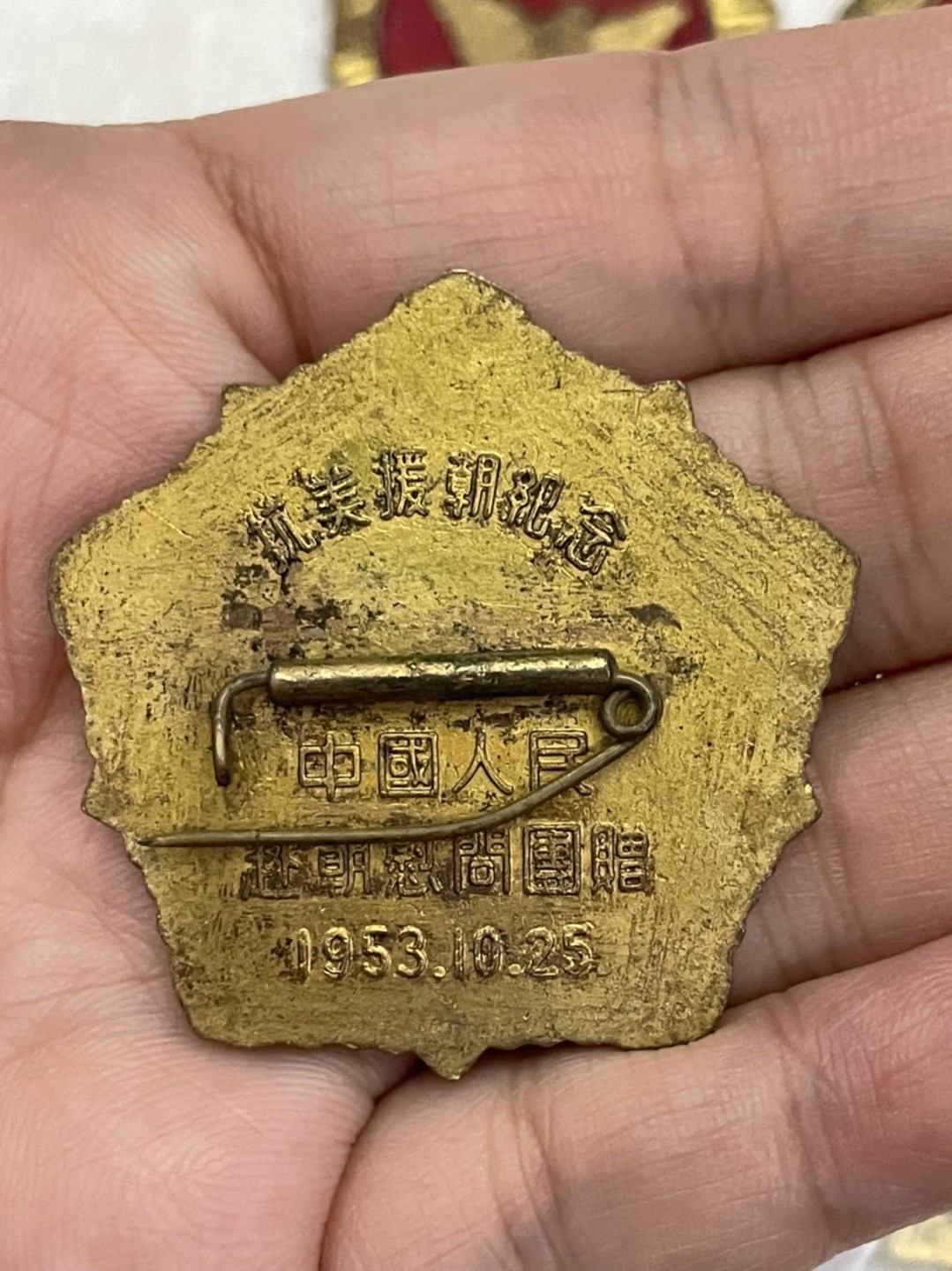 华东版小鸽子