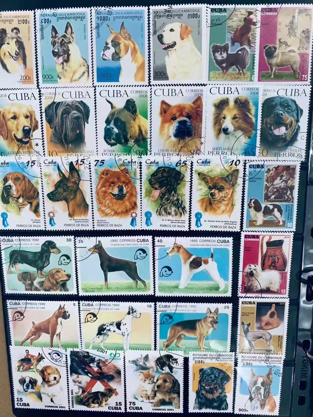 小时候收藏的邮票