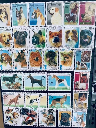 小时候收藏的邮票