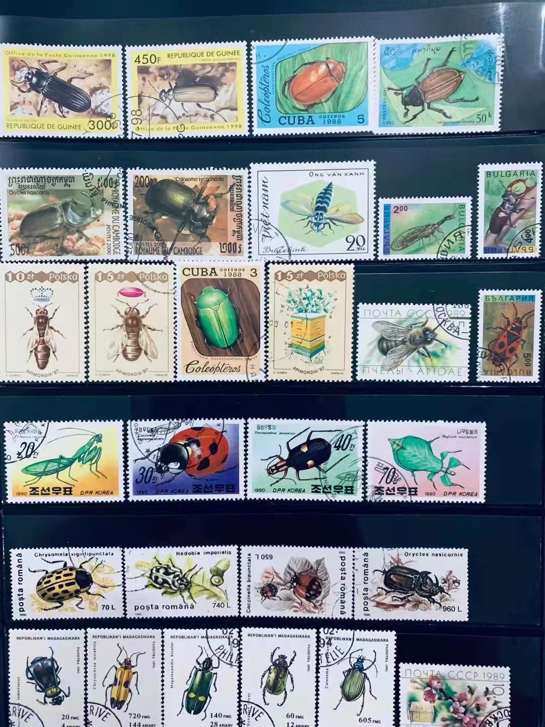 小时候收藏的邮票