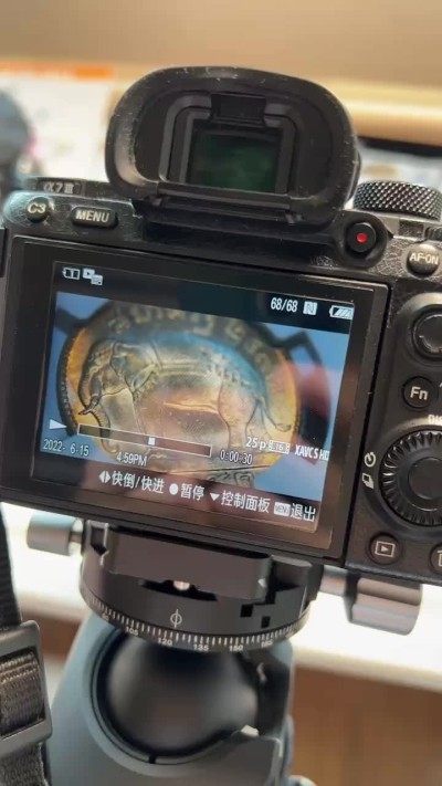 漂亮的币，视频拍出来简直了