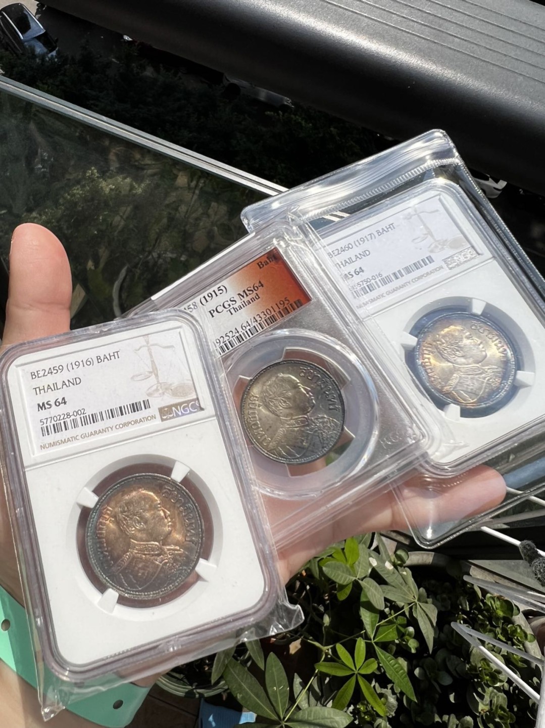 这三个五彩，大家最喜欢哪一个