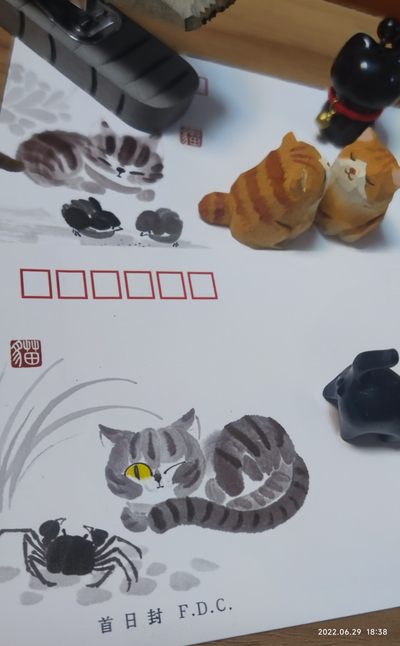 喵星人就是这么拽～，这么可爱爱～