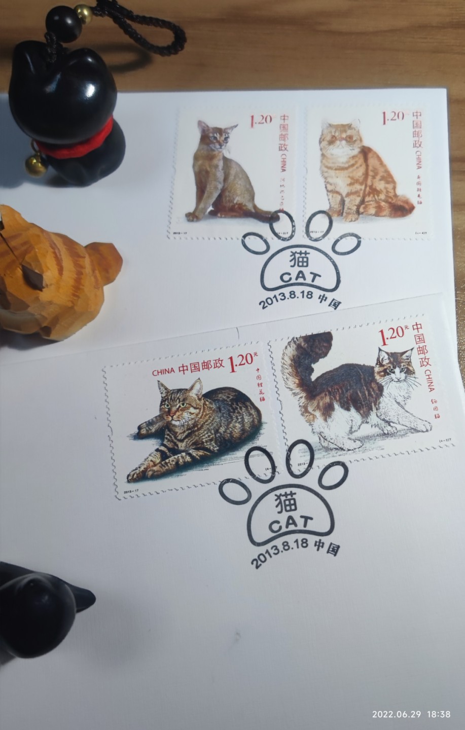 喵星人就是这么拽～，这么可爱爱～