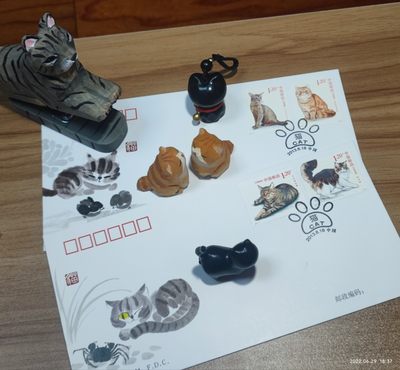 喵星人就是这么拽～，这么可爱爱～