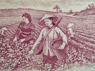 亚洲社会主义国家钱币中的劳动女性