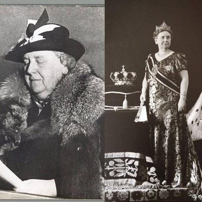 荷兰女王🇳🇱