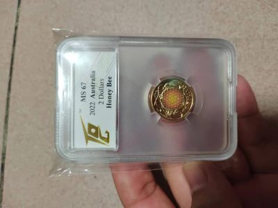 国际钱币展销会，人挺多，认识好多收藏大佬，麦稀奇的小姐姐挺热心，各种讲解！