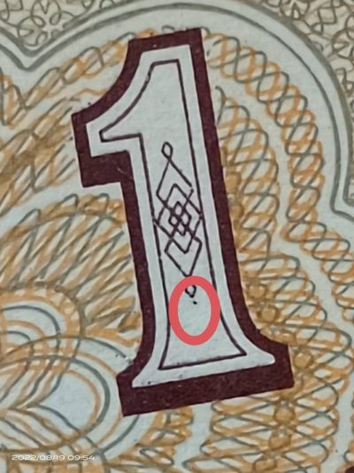 双变体字！民行，九处瑕疵暗记定位的地方！稀少品种很难碰到了