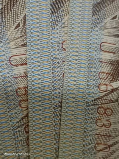 双变体字！民行，九处瑕疵暗记定位的地方！稀少品种很难碰到了