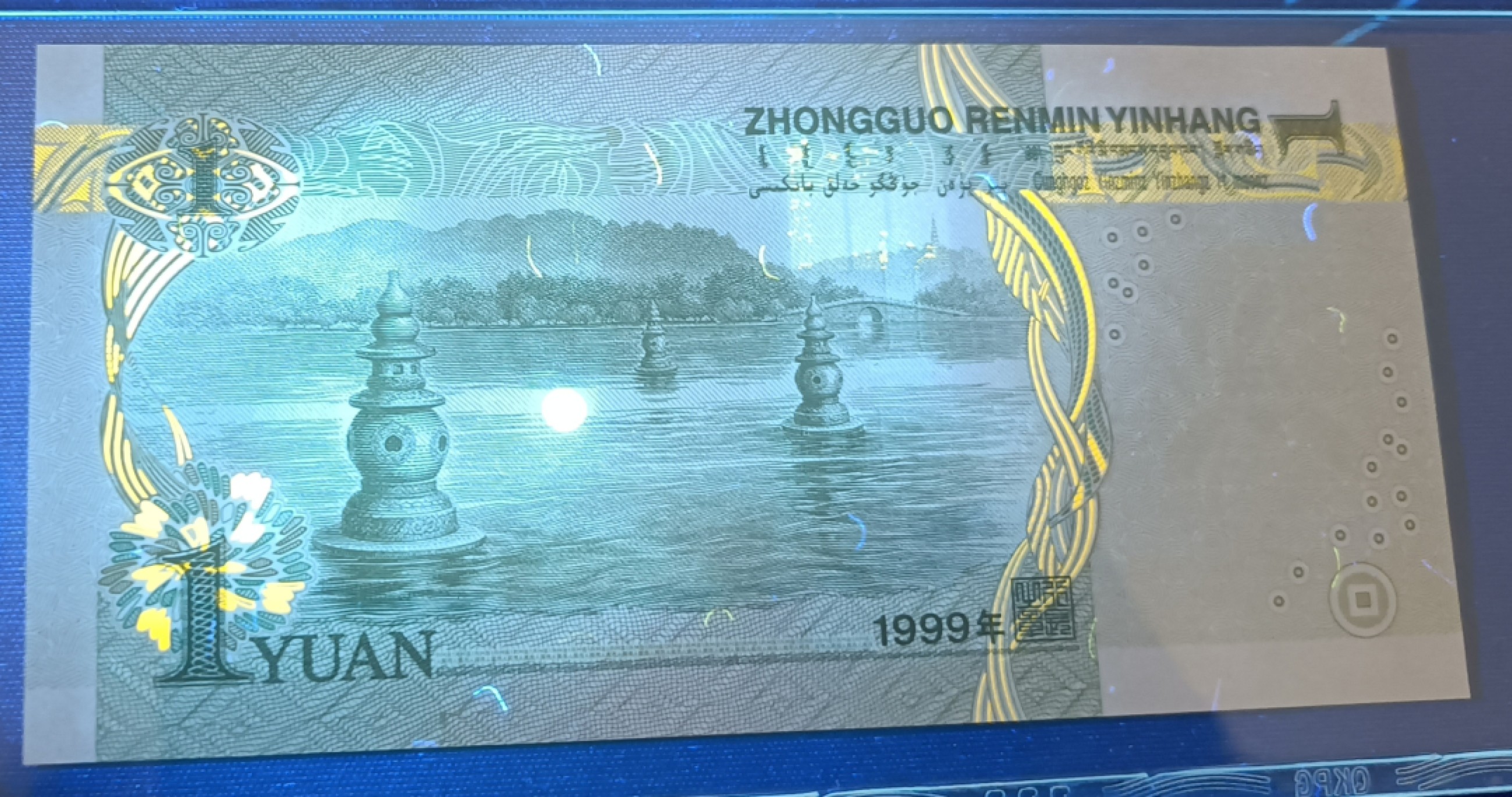 赏花赏月赏“三潭映月”