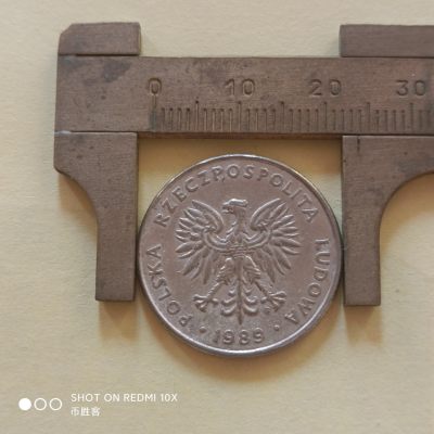 波兰硬币 1989年20兹罗提
这是波兰的旧版关门硬币，1989年波兰改变国体，拉开了东欧剧变的序幕。
图案是波兰当时的国徽，展翅银鹰