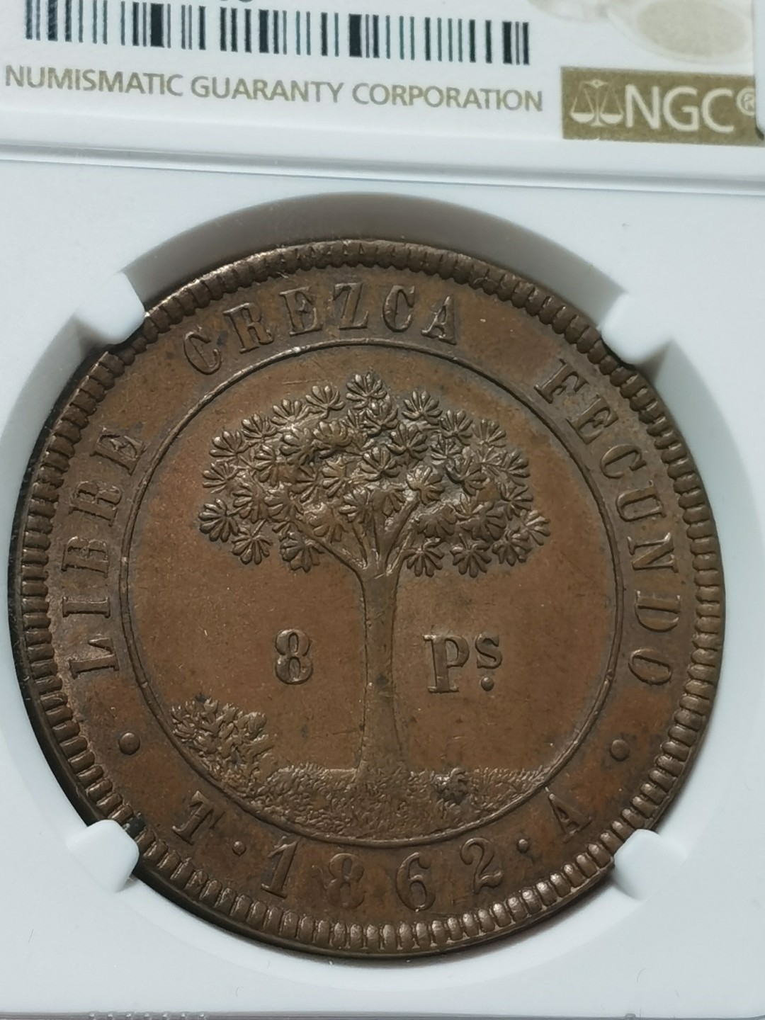 洪都拉斯1862年临时政府时期钱币