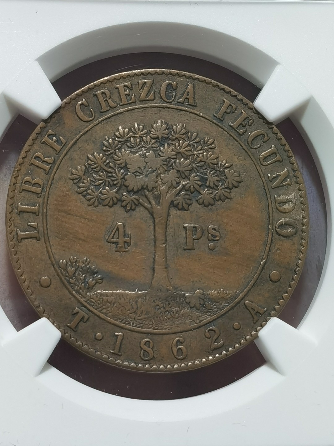 洪都拉斯1862年临时政府时期钱币