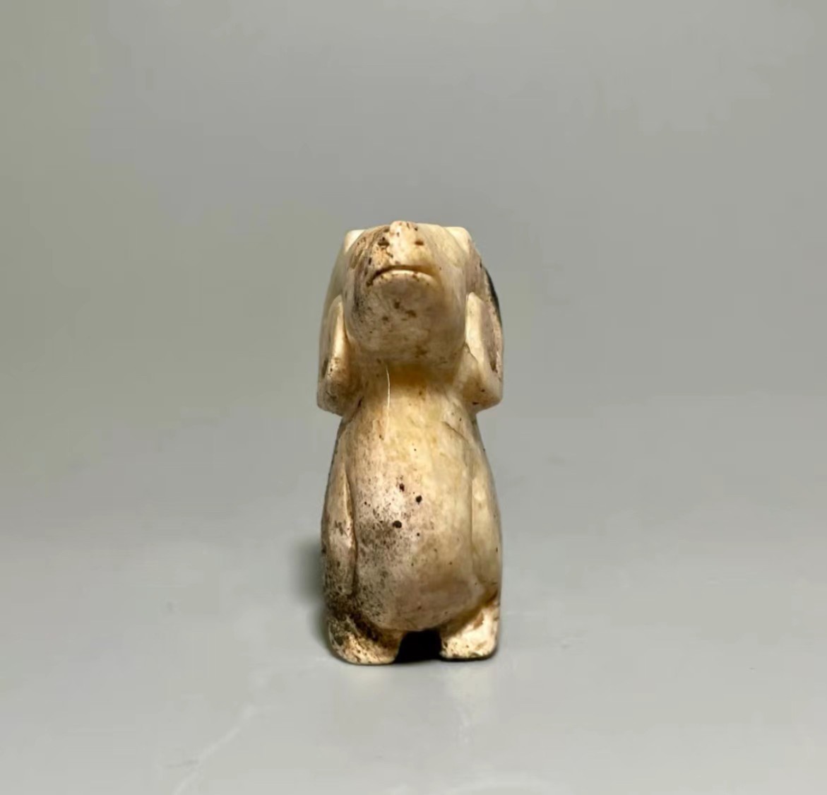 羊