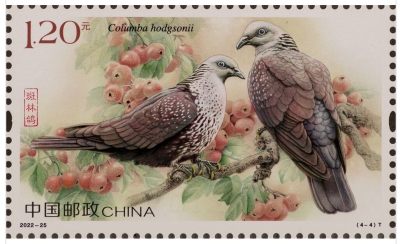 【邮票赏析】【中国】《鸽》【2022.11.5】