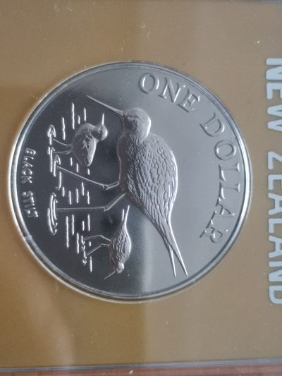 我最爱的新西兰动物币