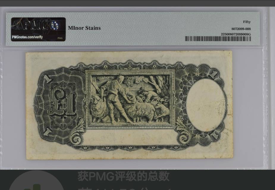 我纸币上的动物