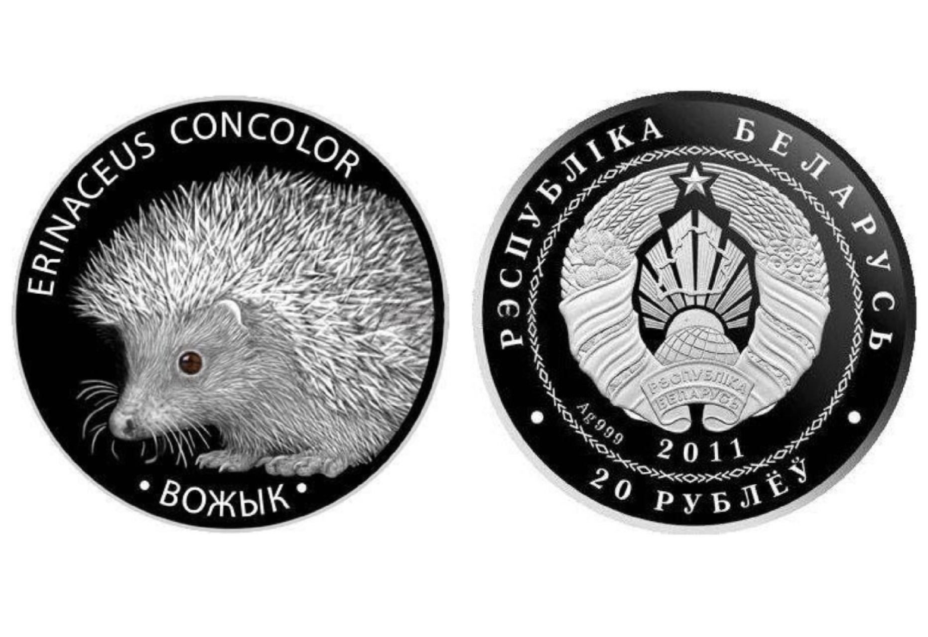 李逵麦刺猬人狠货扎手