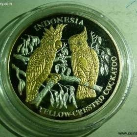 货币上的鸟类一聪明的鹦鹉