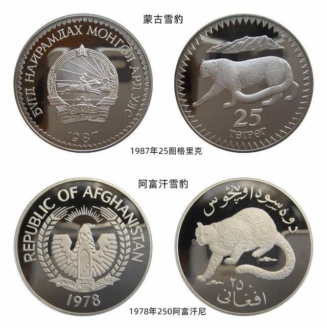 我最喜欢的雪豹银币