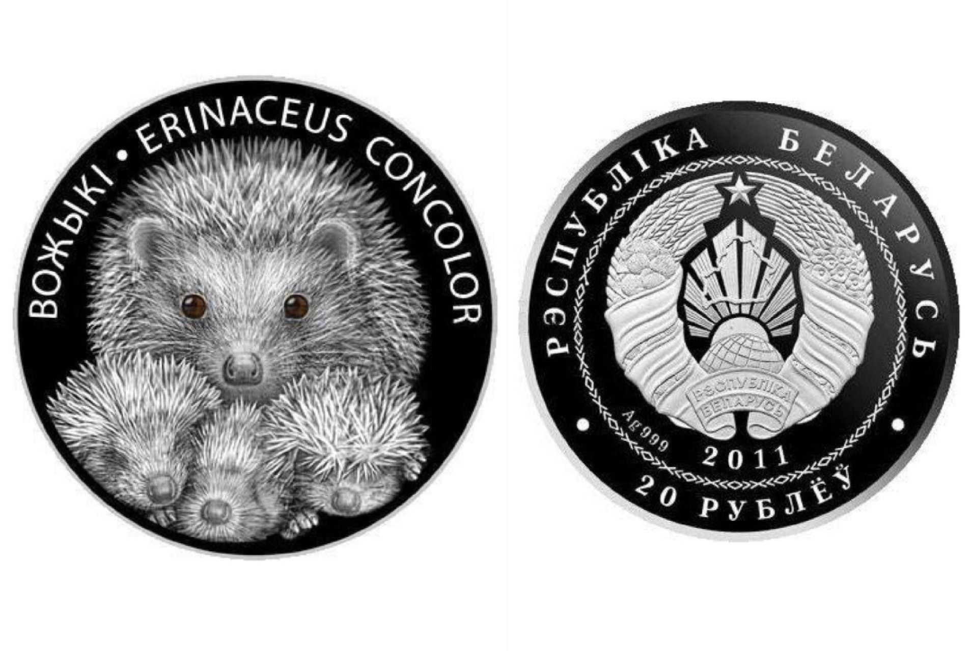 李逵麦刺猬人狠货扎手