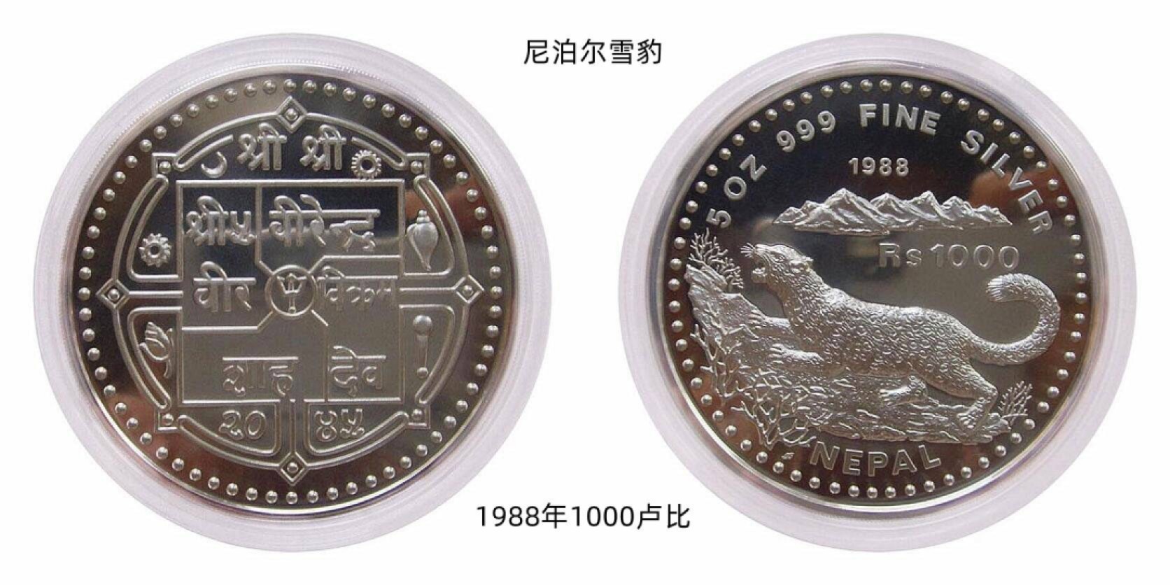 我最喜欢的雪豹银币