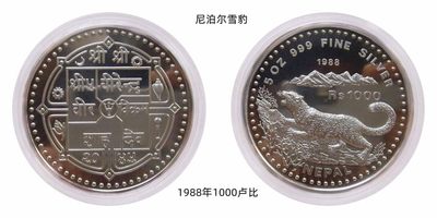 我最喜欢的雪豹银币