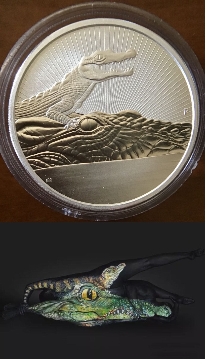 与我们共住一个地球🌍的生命