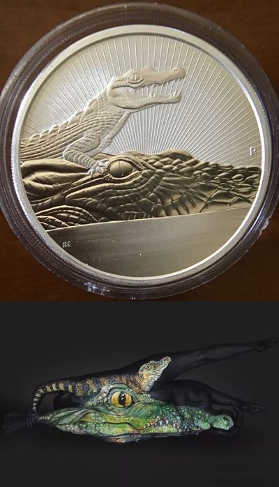 与我们共住一个地球🌍的生命