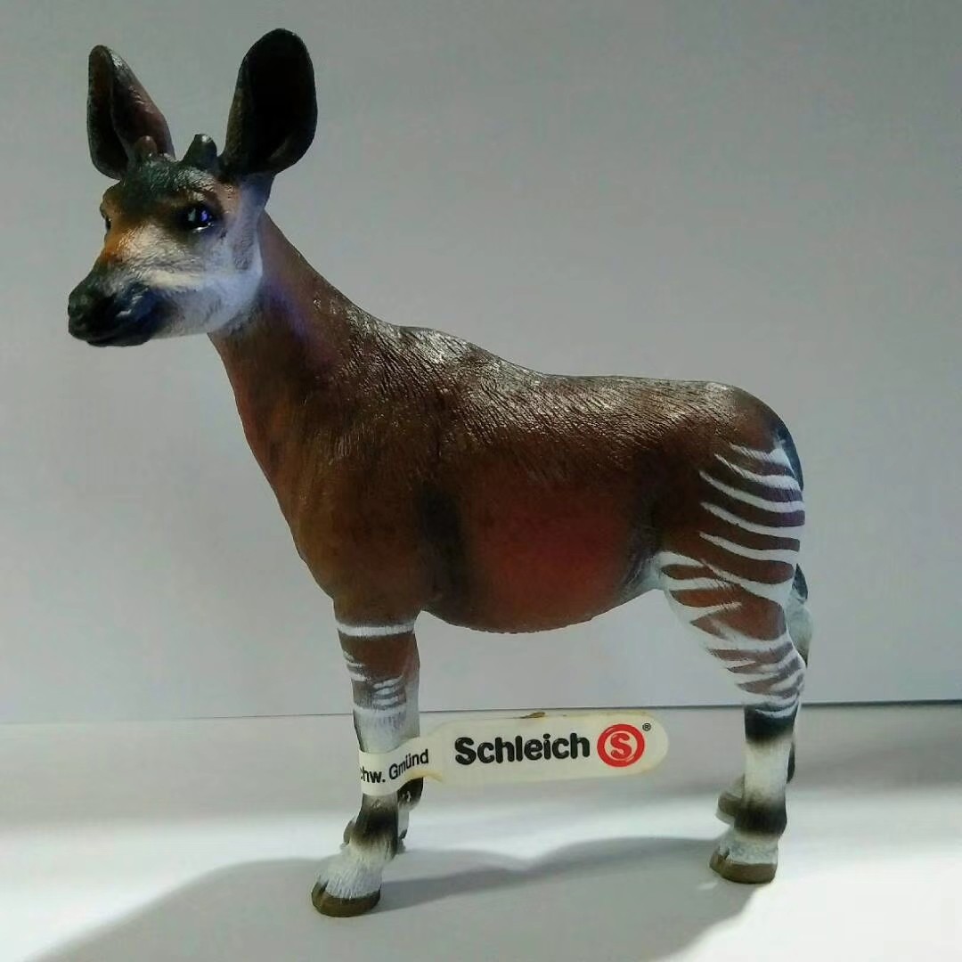 长颈鹿的近亲——神兽霍加狓